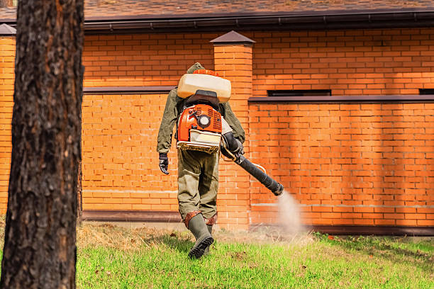 Bed Bug Clearance Verification and Documentation in West Palm Beach